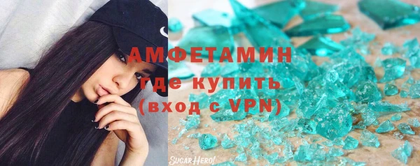 шишки Покачи