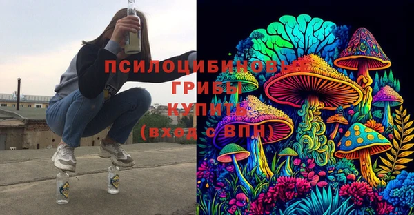 соль ск Гусиноозёрск