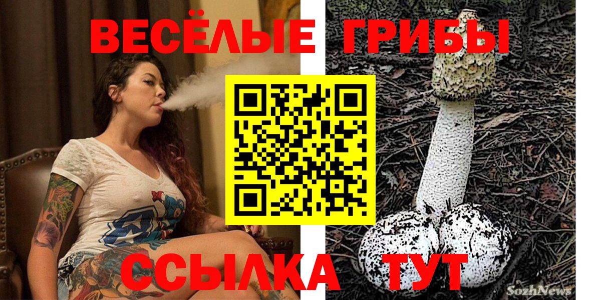 Псилоцибиновые грибы мухоморы Гулькевичи