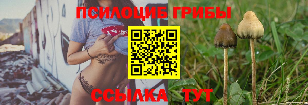 Псилоцибиновые грибы ЛСД  Псилоцибиновые грибы Magic Shrooms  Гулькевичи 