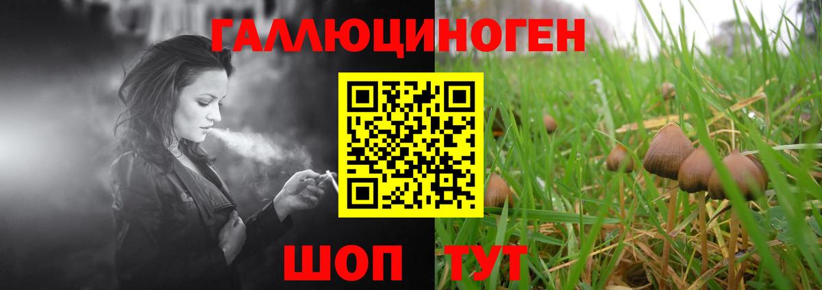 Псилоцибиновые грибы мицелий  Вход с VPN  Гулькевичи 
